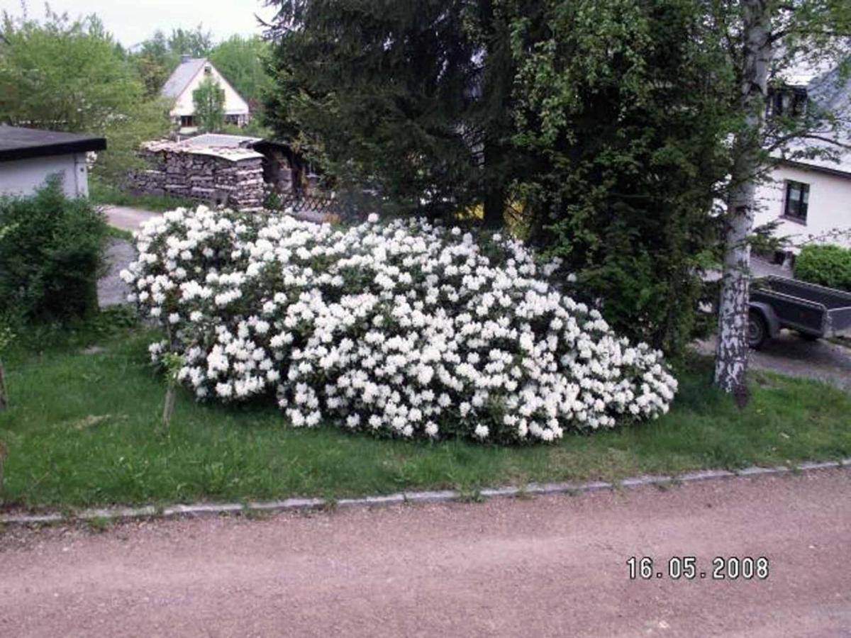Ferienhaus Ferien Am Waldrand Altenberg Buitenkant foto